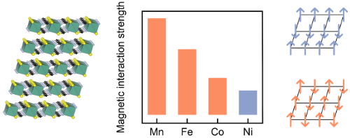 Structure and magnetism of M(NCS)2