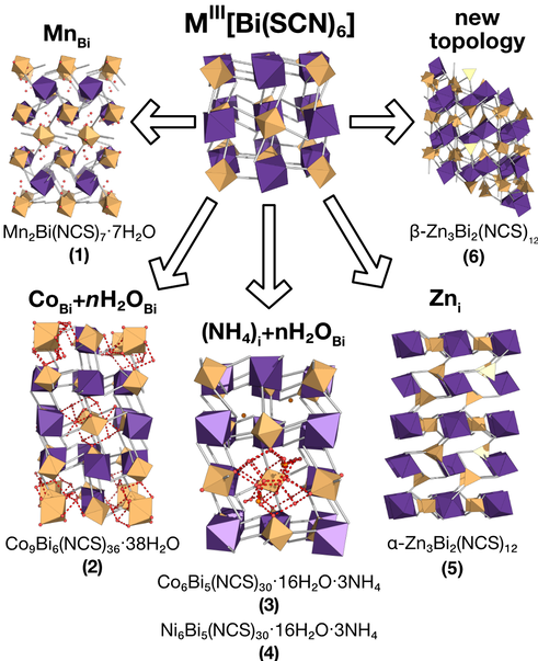 Defects in thiocyanate Prussian Blues