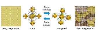 Formation of strained nanodomains in ZrCDC MOF